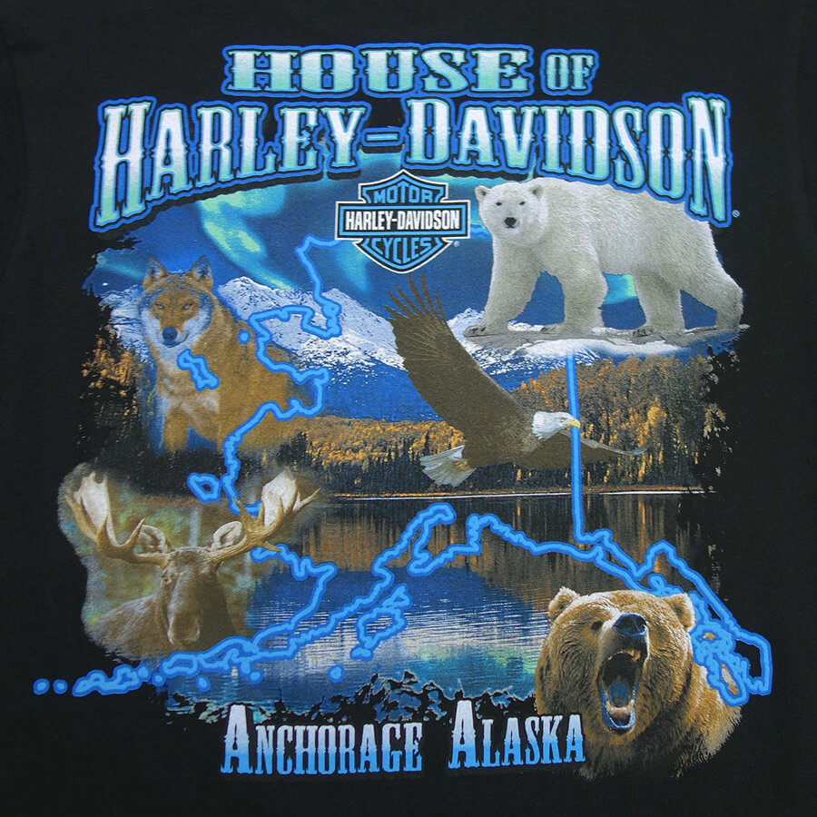 専用 05 Harley-Davidson Tシャツ ウルフ ベアー 熊 バイカーTシャツ HARLEY-DAVIDSON ハーレーダビッドソン|古着